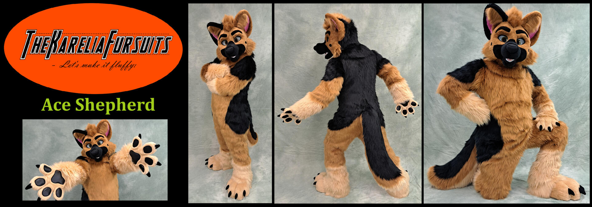 Ace Shepherd Ace Shepherd