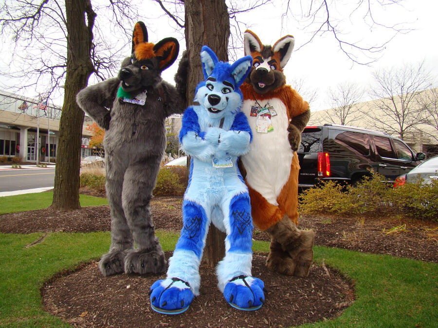 MFF 2016 - Picture by Shade