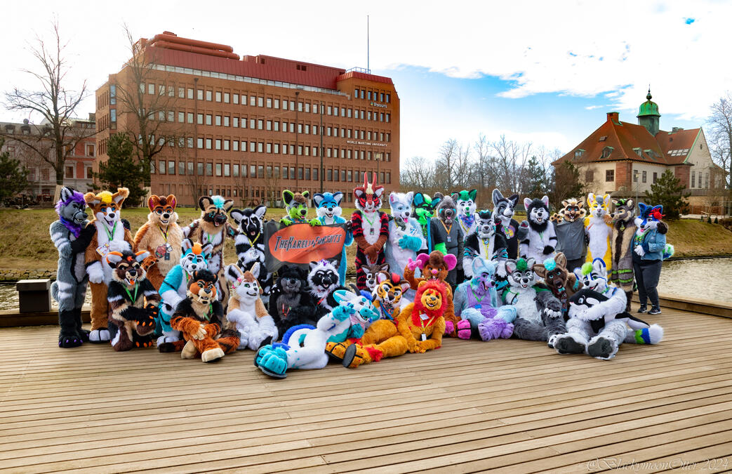 NordicFuzzCon 2024 - Picture by Blackymoon Otter