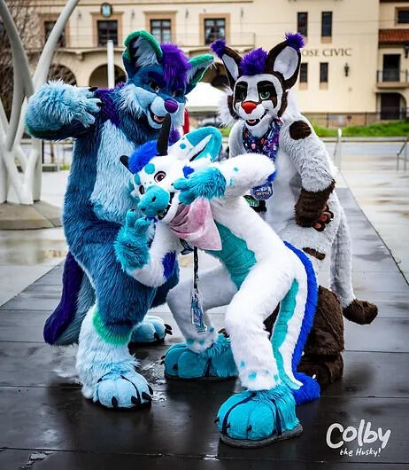 FC 2023 - Picture by Colby the Husky