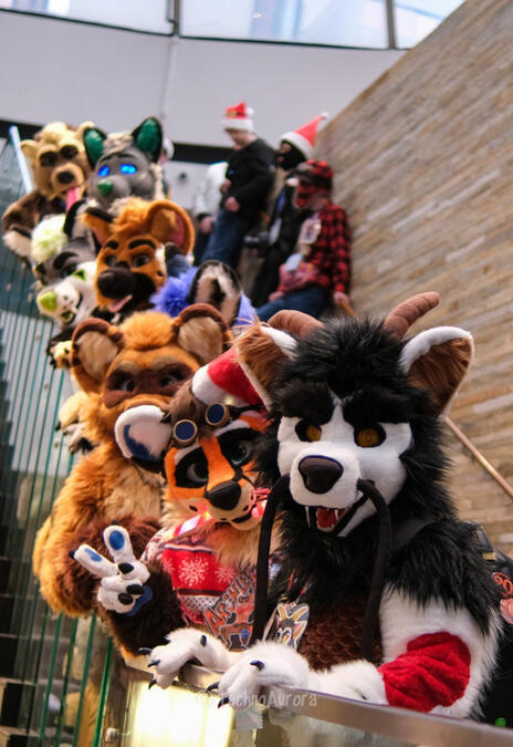 MFF 2022 - Picture by Technoaurora