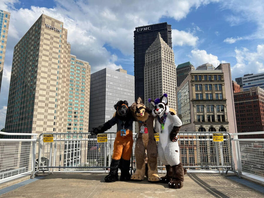 AC 2022 - Picture by ?