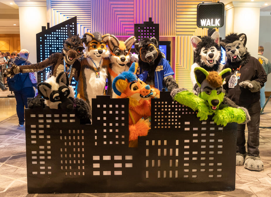 Confuzzled 2023 - Picture by Crofty Raccoon