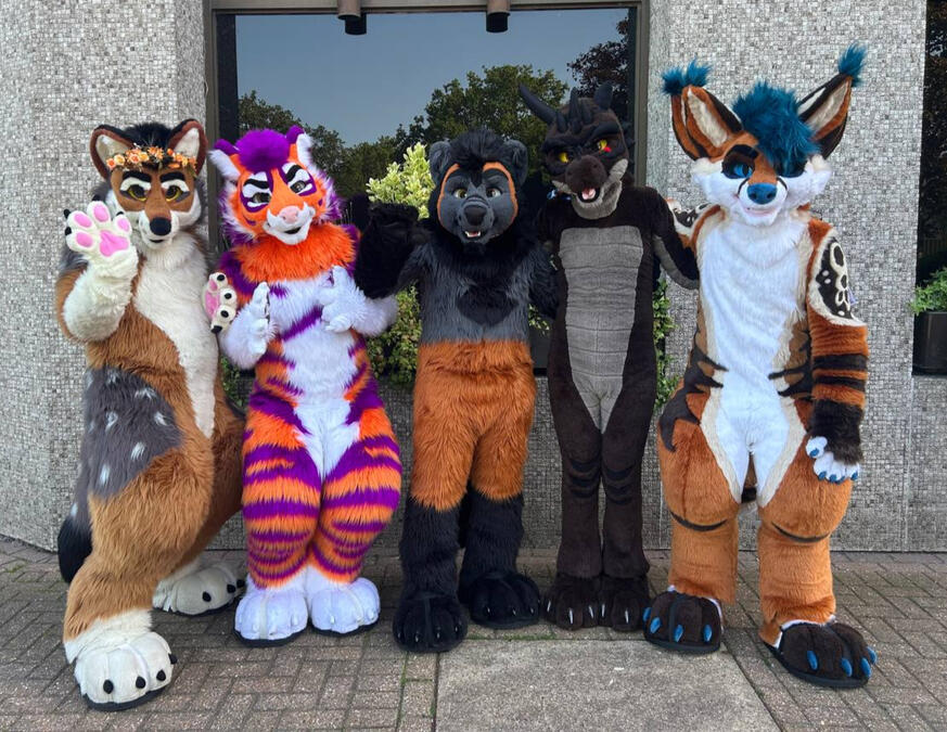 Confuzzled 2026 - Picture by Royce