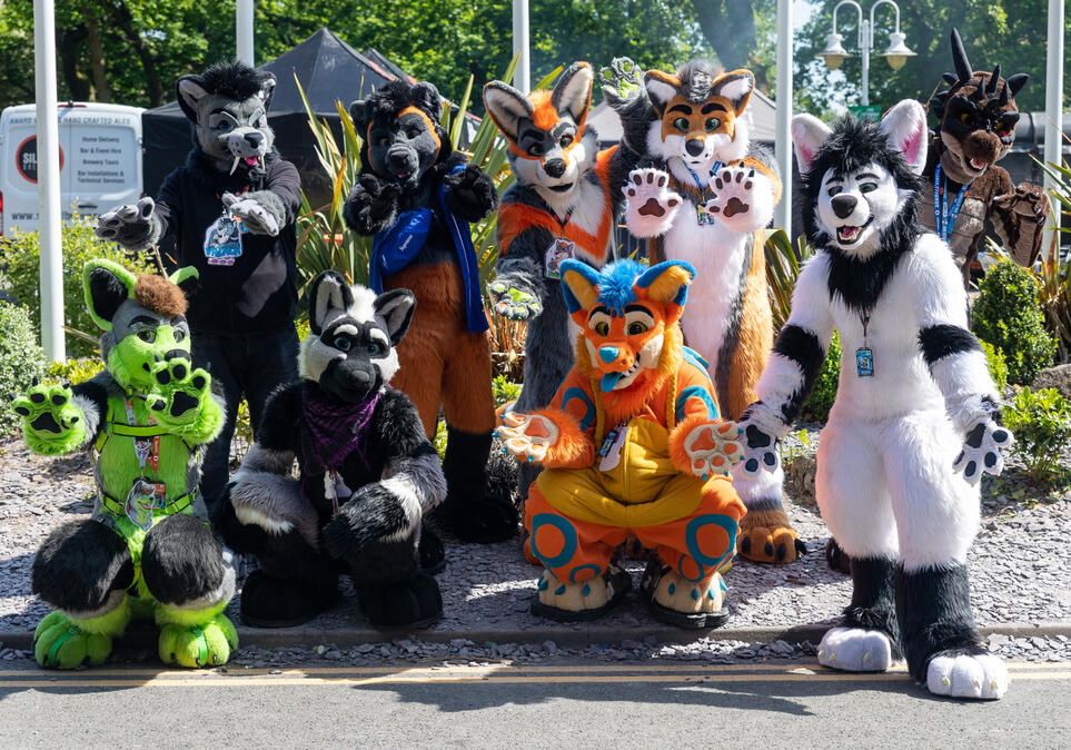 Confuzzled 2023 - Picture by Crofty Raccoon